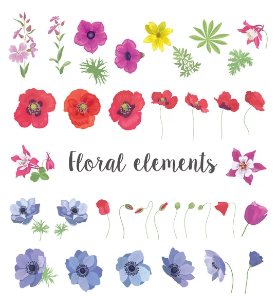Conjunto de elementos vetoriais florais para o seu design . — Vetor de Stock
