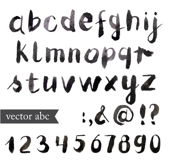 Vektör suluboya alfabe. Fırça yazı tipi. — Stok Vektör