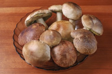 Ceps