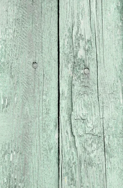 Pale green wooden background — Stock Photo, Image