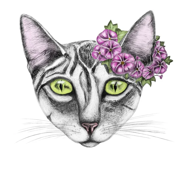 El çizmek çelenk ile kedi