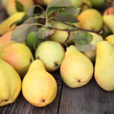 Olgun sonbahar armut