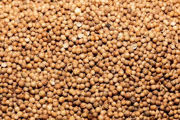 Close Coriander Seeds Background Image Stock Photo