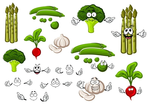 Hrách, česnek, brokolice, ředkvička a chřest — Stockový vektor