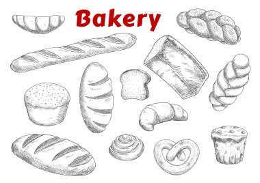 Bakery sketches with bread and pastry