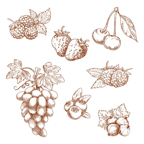 Набор набросков фруктов и ягод — стоковый вектор