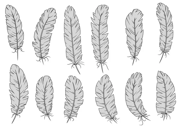 Antique quill pens and bird feathers — Stock Vector