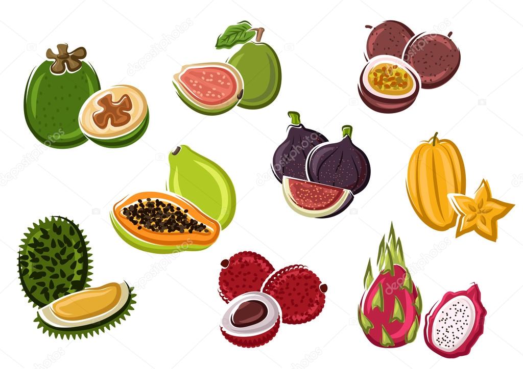 Tropical fresh fruits in cartoon style