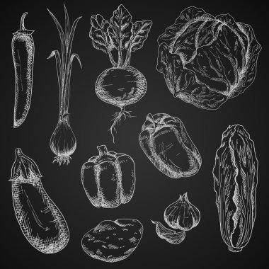 Fresh vegetables chalk sketches set clipart