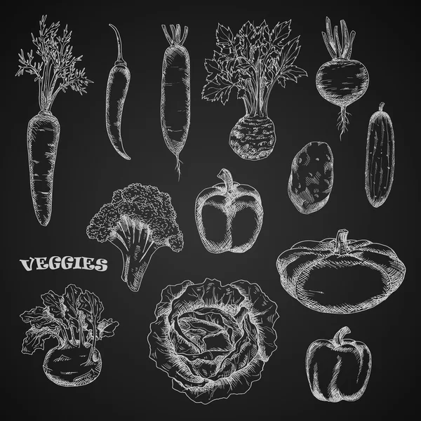 Sketched veggies in engraving style — Stok Vektör