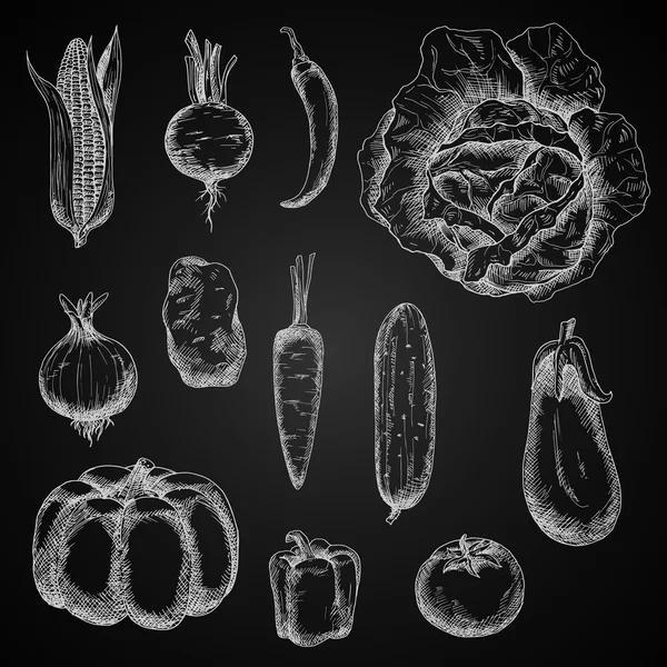 Croquis craie de légumes d'automne ensemble — Image vectorielle