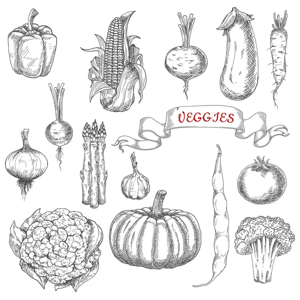 Bosquejos de verduras de granja para el diseño de alimentos — Vector de stock