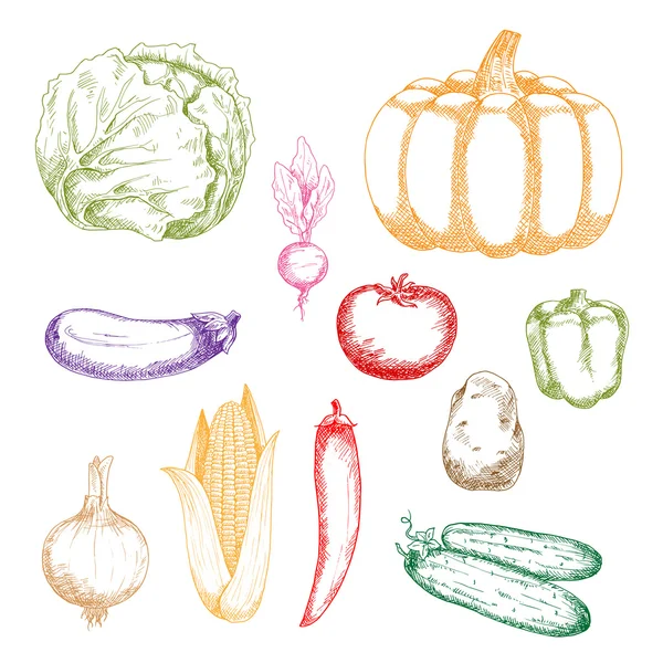 Agricole légumes rétro croquis icônes — Image vectorielle