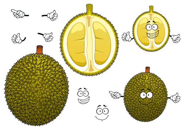 Thai stinkende grüne durianische Frucht — Stockvektor
