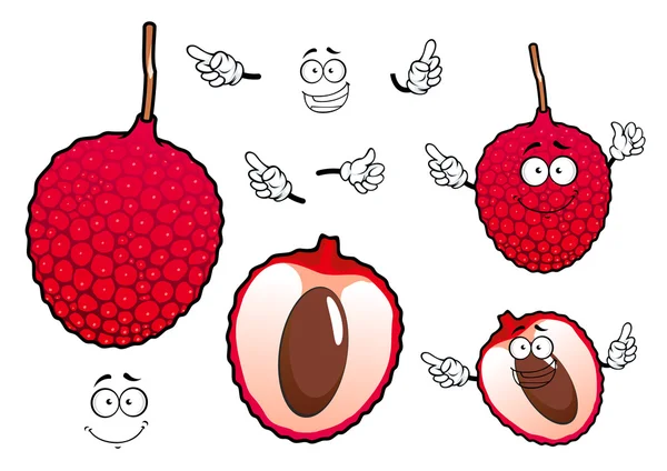 Lichi rojo brillante fruta exótica — Archivo Imágenes Vectoriales