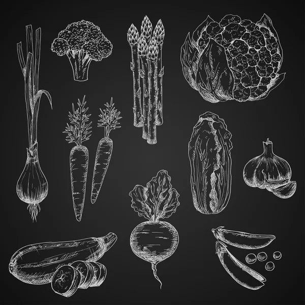 Chalck esboços de legumes em quadro-negro — Vetor de Stock