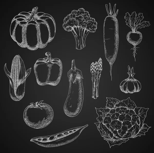 Croquis à la craie de légumes frais — Image vectorielle