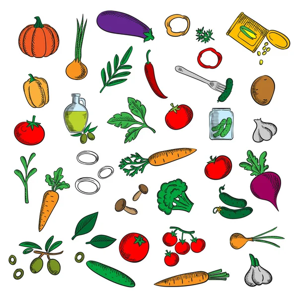 Verduras frescas y en escabeche con esbozo de hierbas — Vector de stock
