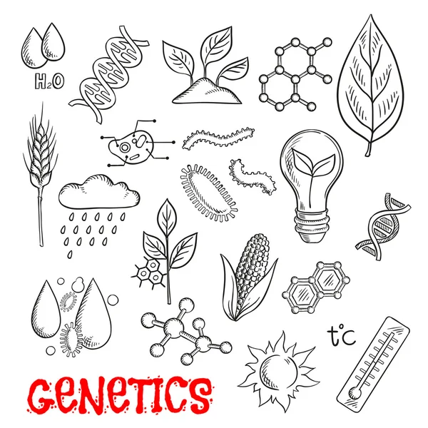 Agriculture et technologie génétique esquisse icônes — Image vectorielle