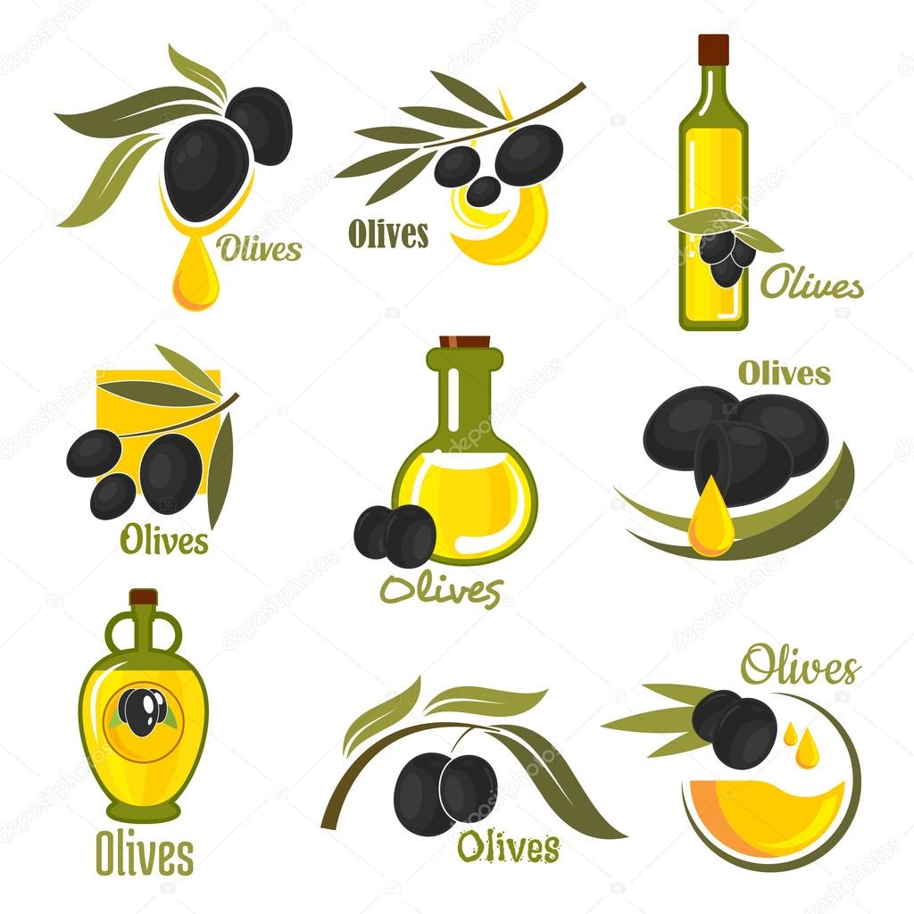 Olives black fruits with golden oil drops and glass bottles of olive oil, supplemented by branches of olive tree with green leaves. Agriculture and healthy food themes