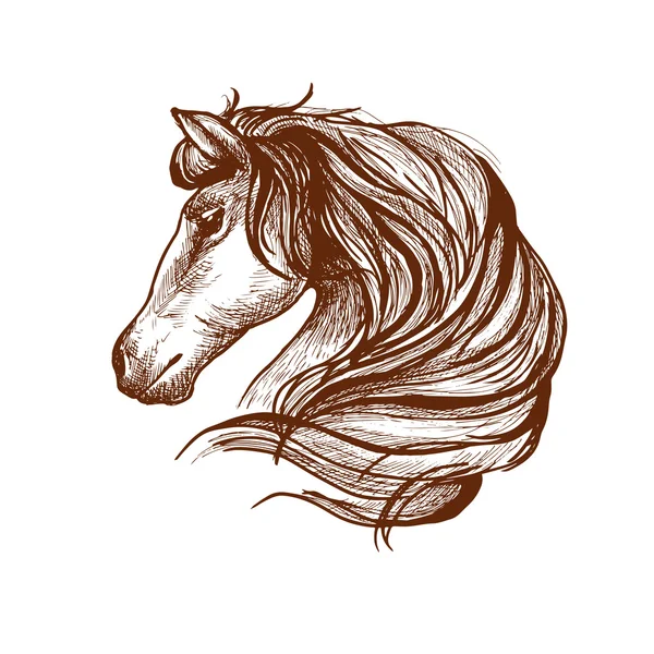 Perfil de caballo con melena fluida, estilo boceto — Archivo Imágenes Vectoriales