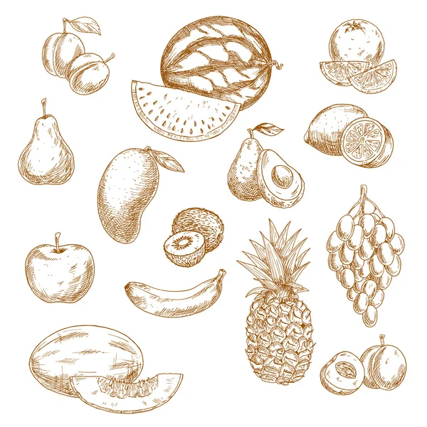 Whole and halved fresh fruits vintage sketch icons — Διανυσματικό Αρχείο