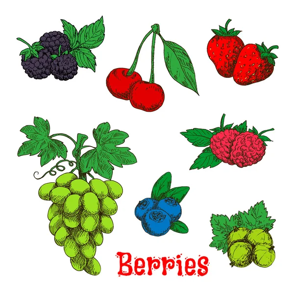 Coloridos bocetos apetitosos de frutas y bayas — Archivo Imágenes Vectoriales