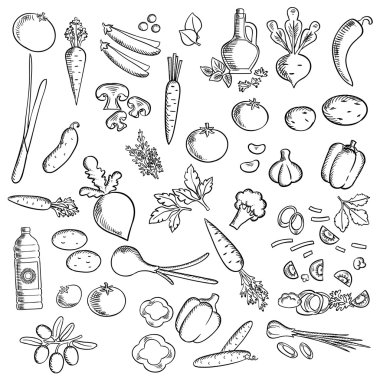 Fresh vegetables and condiments sketch icon clipart