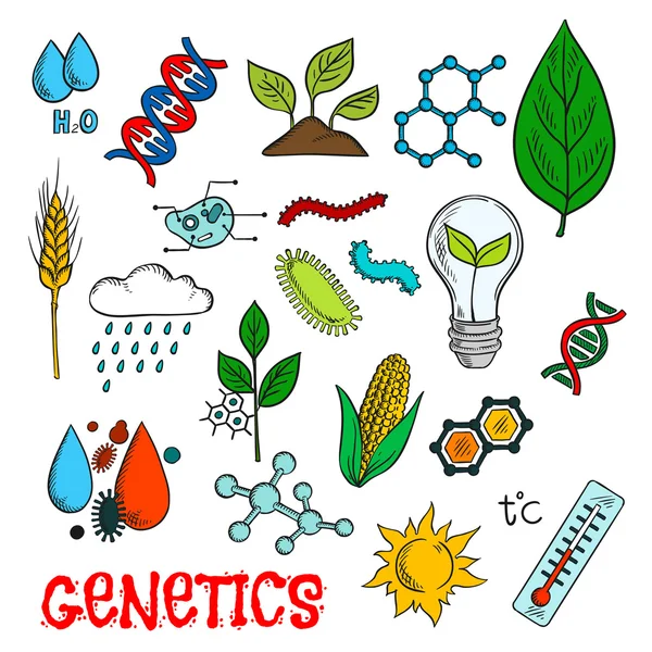 Tecnologie genetiche in agricoltura schizzi — Vettoriale Stock