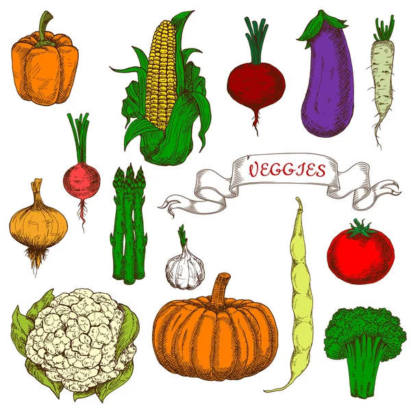 stock vector Bright vivid organically grown vegetables sketches