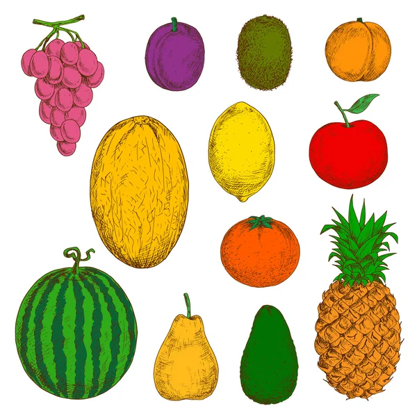 Bocetos de frutas frescas y jugosas — Vector de stock