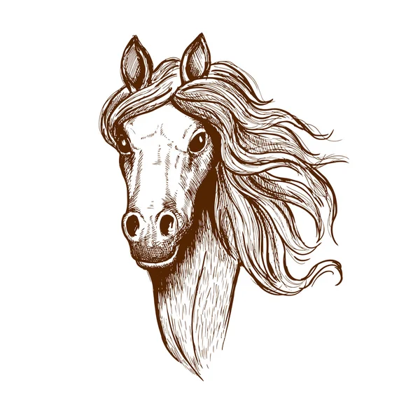 Belle jeune cheval gallois en épi croquis — Image vectorielle