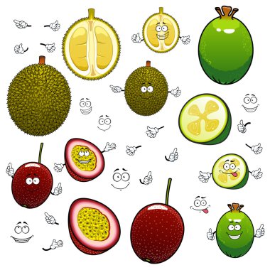 Egzotik karikatür feijoa, durian ve maracuya meyve