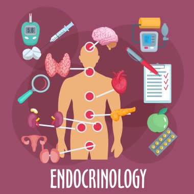 Endocrinology and endocrine system flat icon clipart