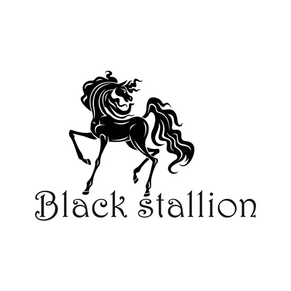 Símbolo de espectáculo de caballos con potro negro andaluz — Vector de stock