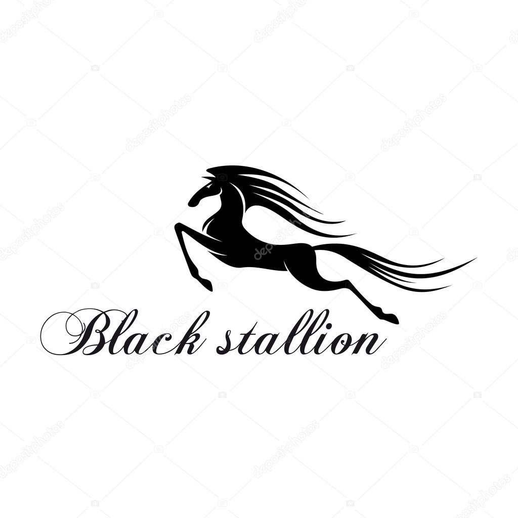 Silhouette of a horse jumping and flying above the text Black Stallion with beautiful long mane and tail. Sporting team mascot, tattoo or t-shirt print design