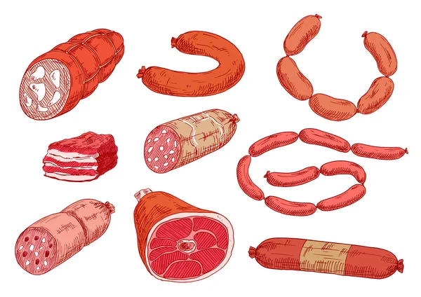 Bacon, ham and various of sausages sketch icons — Stock Vector