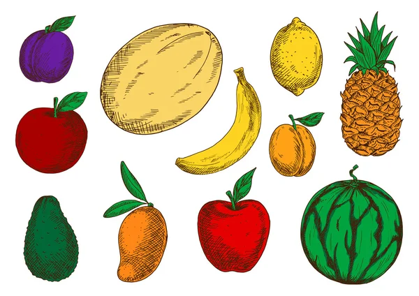 Gesunde und frische Früchte farbige Skizzensymbole — Stockvektor