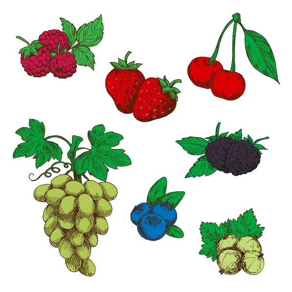 Symboles de croquis parfumés de fruits et baies frais — Image vectorielle