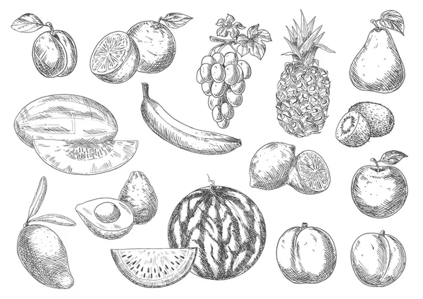 Plezierige smaakvolle vers fruit schets iconen — Stockvector