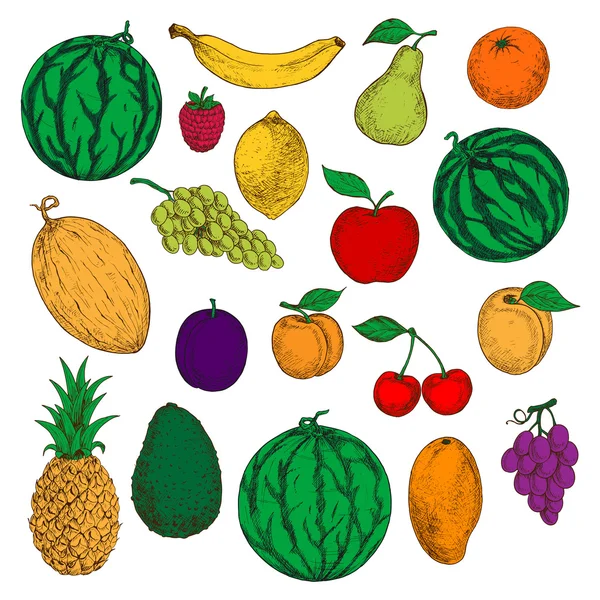 Frutos frescos e maduros esboços coloridos — Vetor de Stock