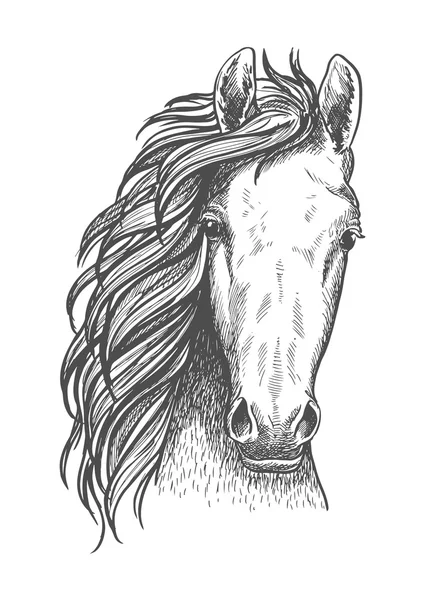 Amerikanische Wild West Mustang Sketch Ikone — Stockvektor