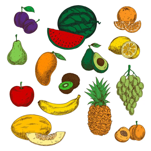 Sortiment an reifen und süßen Früchten Skizzen — Stockvektor
