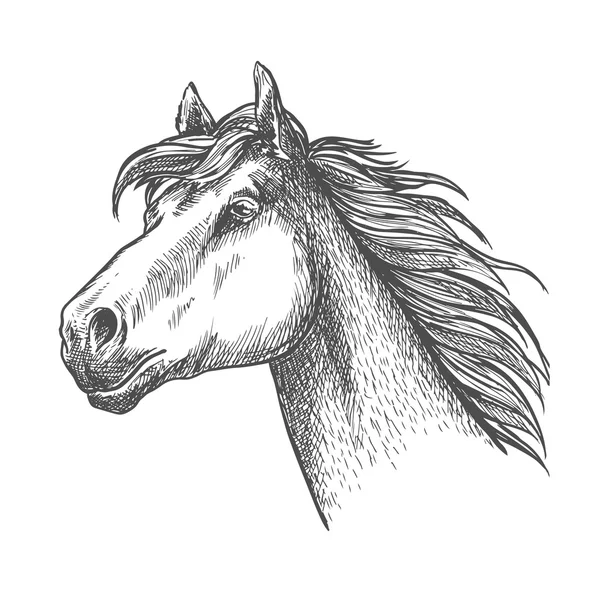 Caballo galopante de raza andaluza símbolo de boceto — Vector de stock