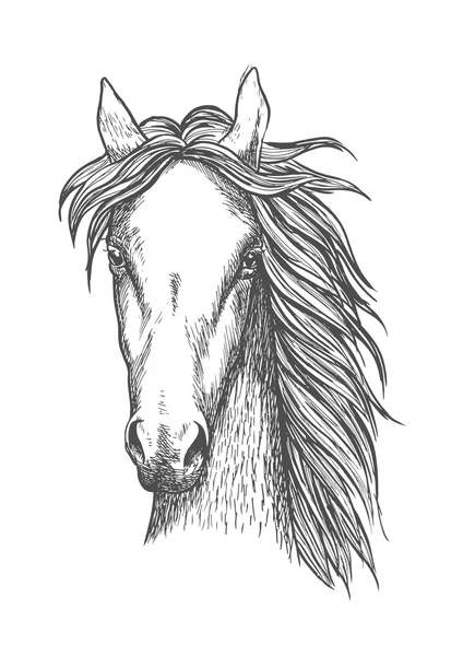 Musclé pur-sang cheval croquis symbole — Image vectorielle