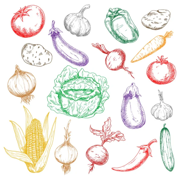 Sketched sana verduras frescas iconos — Vector de stock