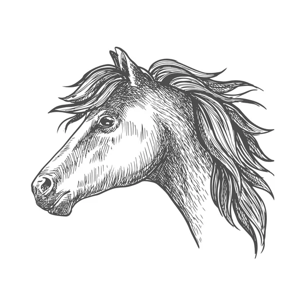 Perfil de caballo de granja pesada retrato en estilo de boceto — Archivo Imágenes Vectoriales