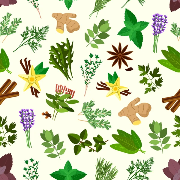 Fresh spicy herbs and condiments seamless pattern — Stock Vector