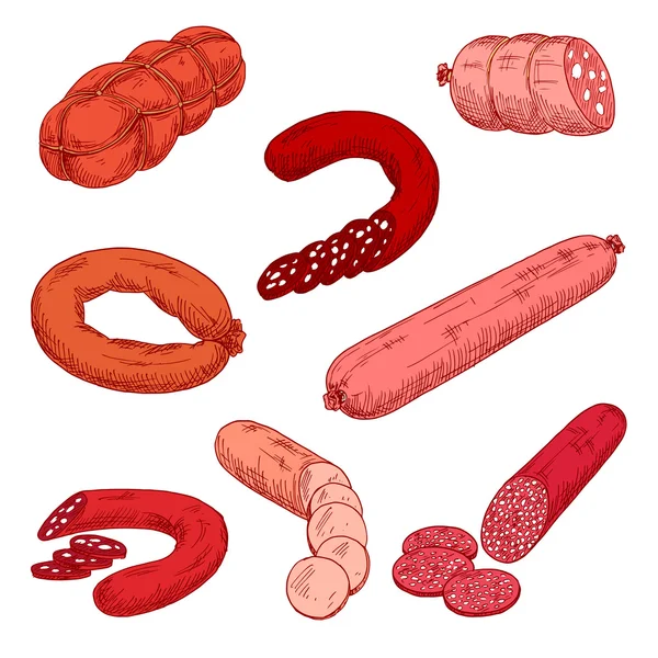 Productos cárnicos de salchicha como wurst o kielbasa — Vector de stock