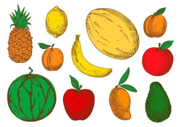 Esboço colorido de frutas vegetarianas — Vetor de Stock